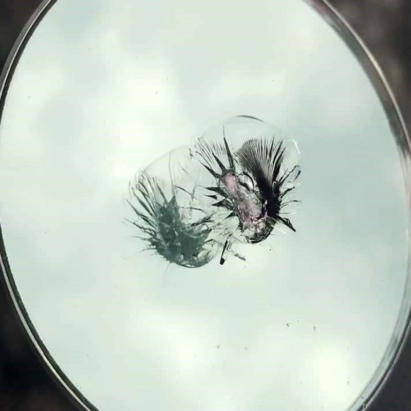 Parabrisas dañado antes de reparación