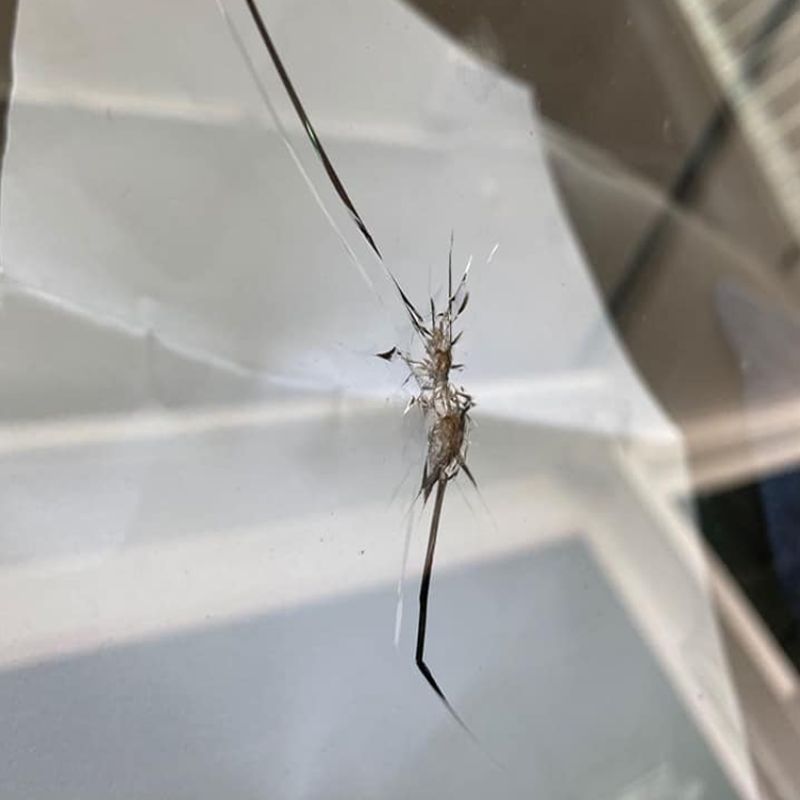 Parabrisas dañado antes de reparación